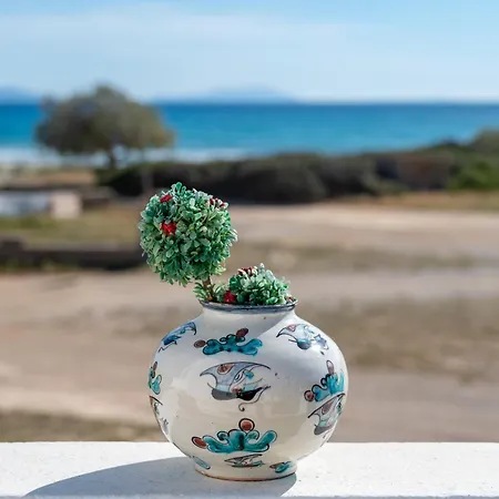 度假居 Markos' House Agiassos